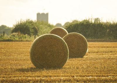 Hay bale on field