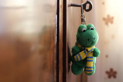 Close-up of frog shape key ring in cabinet