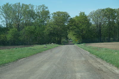 Road amidst trees against sky