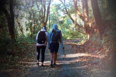Rear view of friends walking on footpath in forest