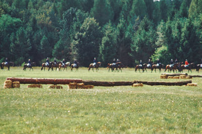 View of group of people riding horses on grassy field at fuchsjagd 