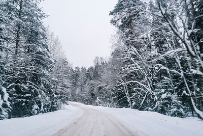 snow