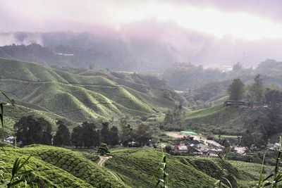 High angle view of agricultural field against sky