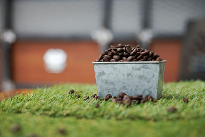 Close-up of bread on field