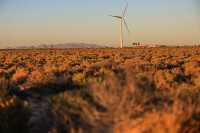 Desert,  windmills , high angle view of agricultural field, desert, sunset
