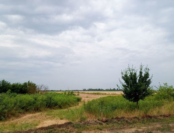 Scenic view of field against sky