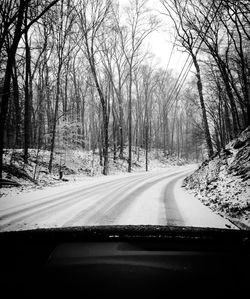 Road passing through forest