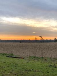 Scenic view of field against sky during sunset