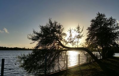 Silhouette trees by lake against sky during sunset