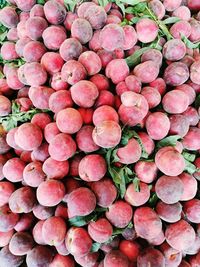 High angle view of fruits for sale at market stall