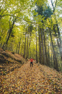 Rear view of woman walking in forest during autumn