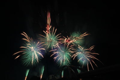 Low angle view of firework display at night