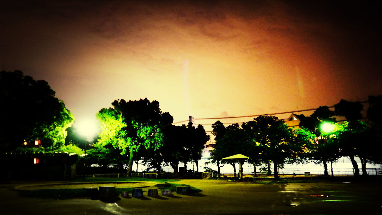 tree, illuminated, night, built structure, building exterior, architecture, sky, park - man made space, grass, green color, street light, lawn, clear sky, lighting equipment, growth, nature, outdoors, city, copy space, fountain