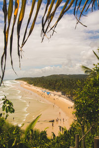 High angle view of people at beach 