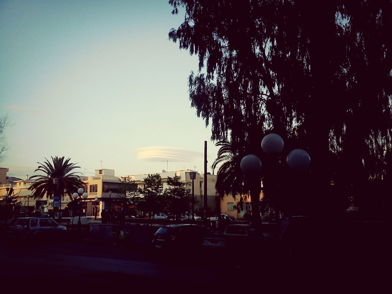 tree, street light, sky, building exterior, built structure, architecture, city, car, street, clear sky, palm tree, lighting equipment, land vehicle, transportation, illuminated, silhouette, outdoors, growth, sunset, dusk