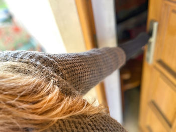 Close-up of hand holding doorknob