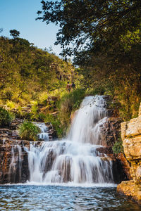 Scenic view of waterfall in forest