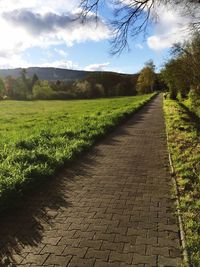 Footpath passing through field