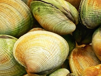 Full frame shot of onions for sale at market