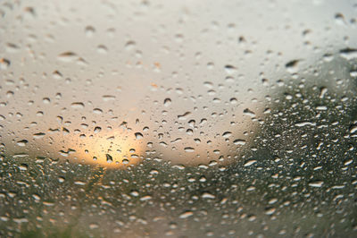 Water drops on a window glass after the rain with sunlight background., close-up of water drops