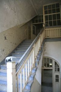 Staircase in building