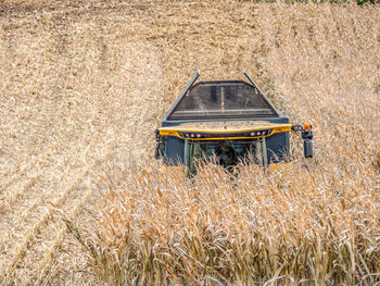 Scenic view of agricultural field