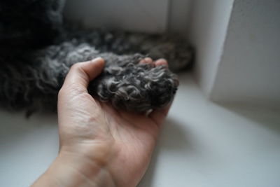 Close-up of hand holding human finger