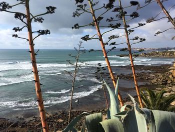 Scenic view of sea against sky