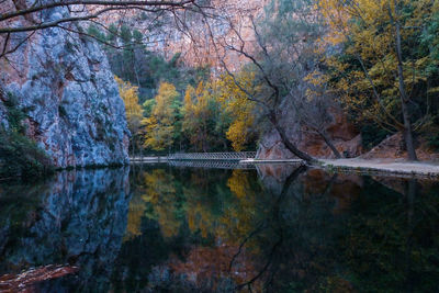 Reflection of trees in lake during autumn