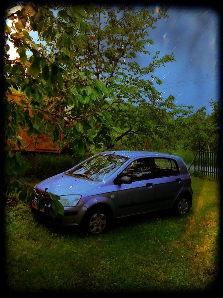 transportation, mode of transport, land vehicle, transfer print, car, tree, auto post production filter, grass, stationary, growth, field, sunlight, day, outdoors, nature, branch, green color, road, no people, vehicle