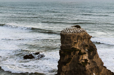 Scenic view of sea shore at beach