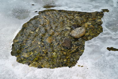 Close-up of rocks in water