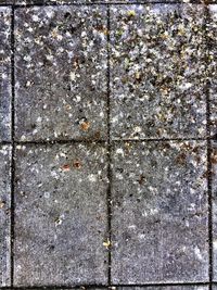 Full frame shot of tiled floor