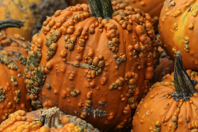 Close-up of food for sale at market stall