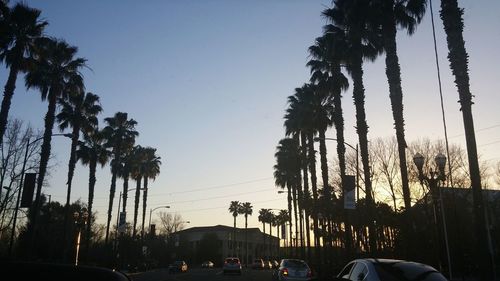 Silhouette palm trees by road against sky during sunset
