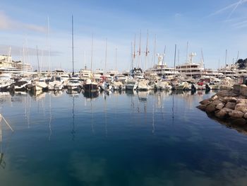 Sailboats moored in harbor