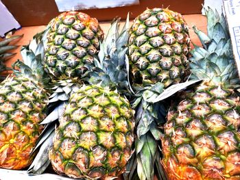 pineapple