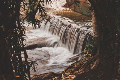 Scenic view of waterfall in forest