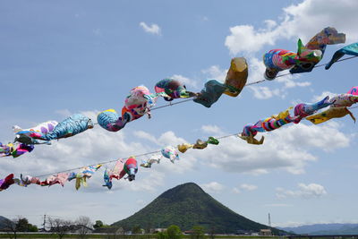 Carp streamer dancing in the wind