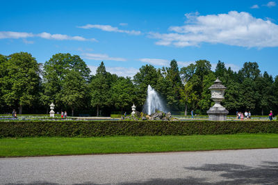 Trees in park against sky