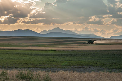 Scenic view of field against sky during sunset