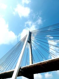 cable-stayed bridge