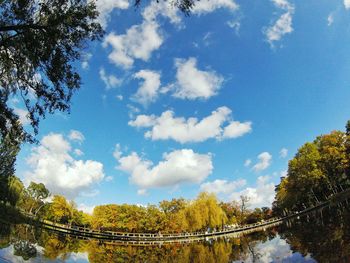 Low angle view of river amidst trees against sky