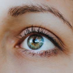 Close-up of woman eye