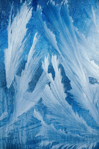 Frosty pattern on transparent background. background light blue winter. cold weather