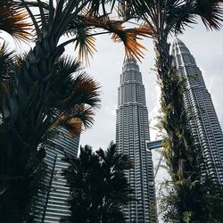 Low angle view of trees against sky