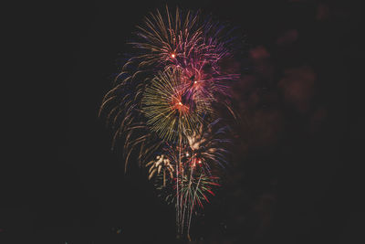 Low angle view of firework display against sky at night