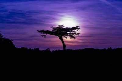 Silhouette trees on landscape against sky at sunset