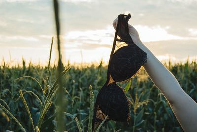 Cropped hand of woman holding bra over plants against sky
