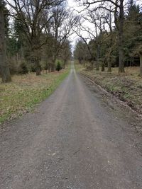 Road amidst trees against sky